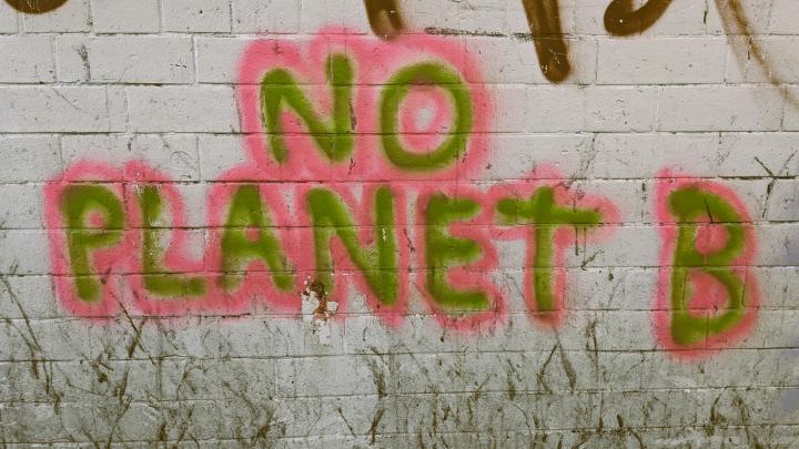 Picture of graffitied text reading 'no planet B' in green and pink capitals, on dirty white brickwork.