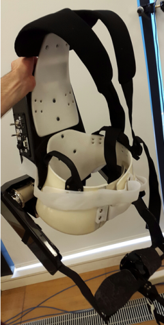 Picture of Active Pelvis Orthosis